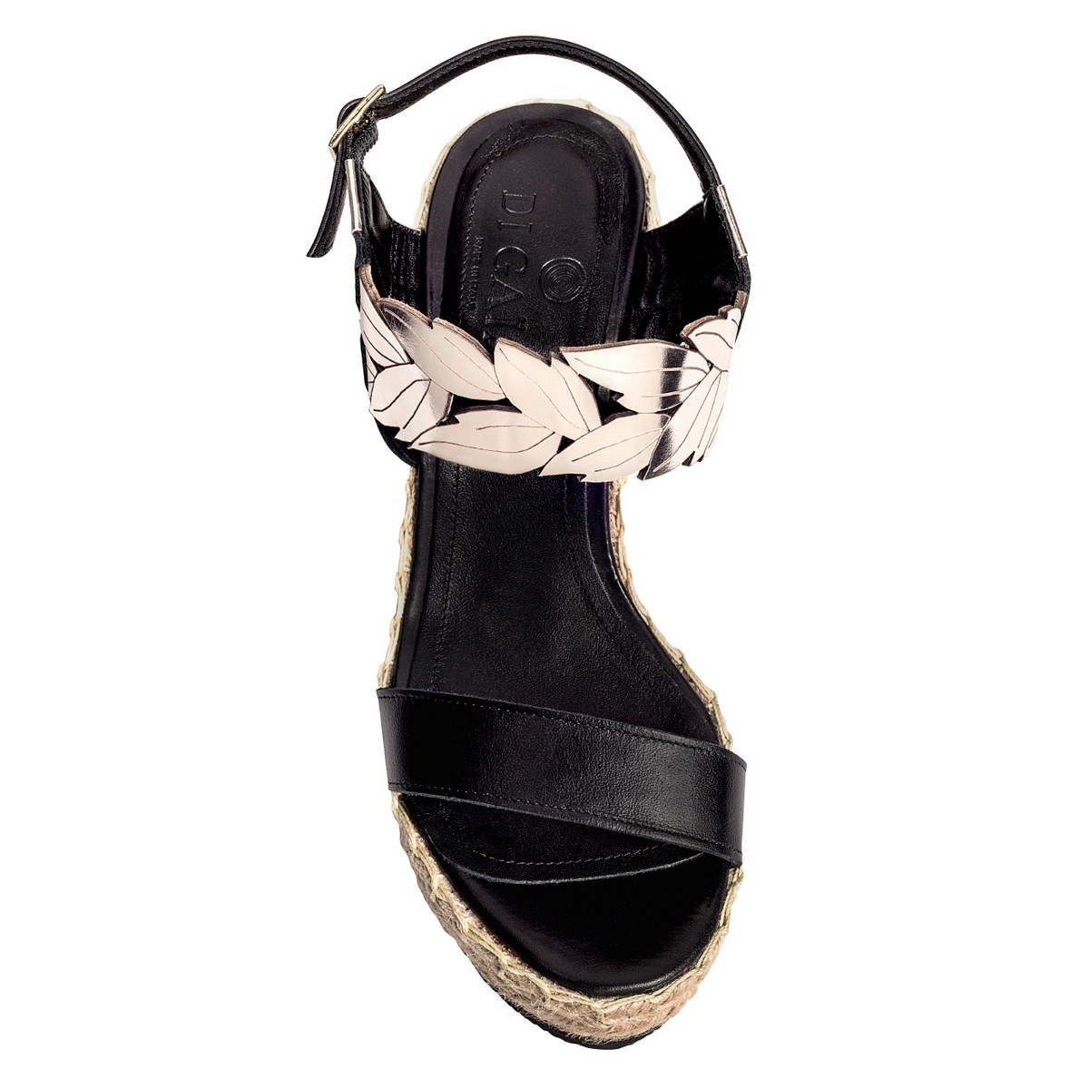 ELAION WEDGE