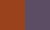 Tangerine Plum